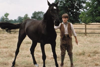Black Beauty - Una Storia Di Coraggio